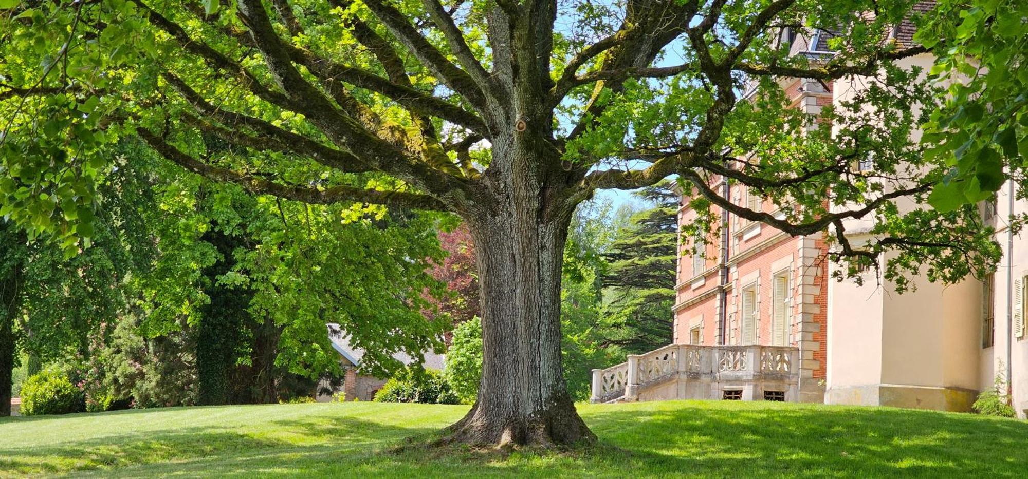 Bed and Breakfast Chateau De Montpatey Couches Exterior foto